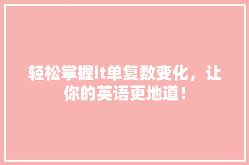 轻松掌握it单复数变化，让你的英语更地道！