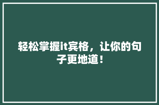 轻松掌握it宾格，让你的句子更地道！ 网站优化