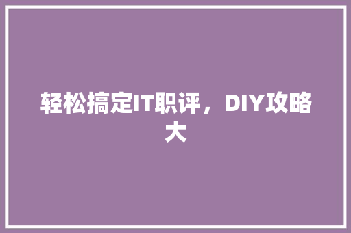 轻松搞定IT职评，DIY攻略大