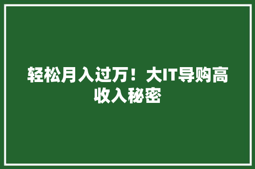 轻松月入过万！大IT导购高收入秘密 搜狗优化