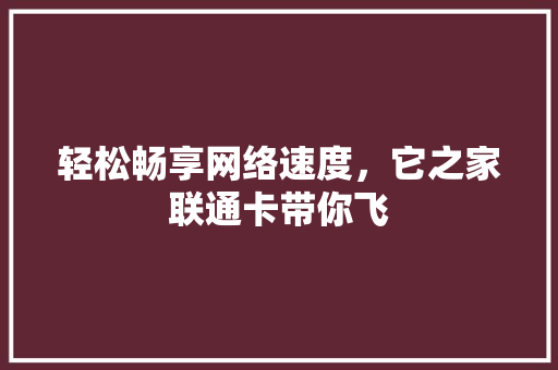轻松畅享网络速度，它之家联通卡带你飞 seo技术