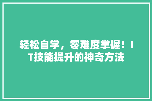 轻松自学，零难度掌握！IT技能提升的神奇方法 seo技术