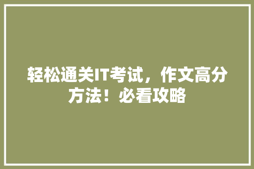 轻松通关IT考试，作文高分方法！必看攻略 网站开发