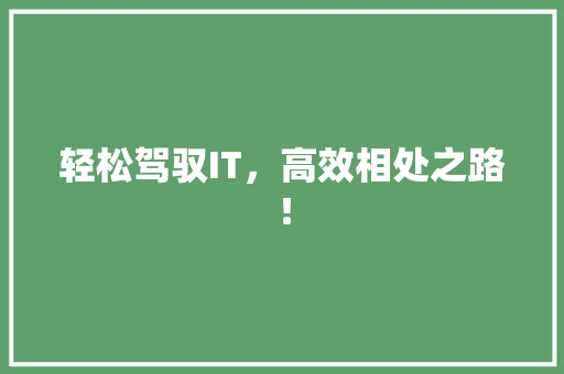 轻松驾驭IT，高效相处之路！