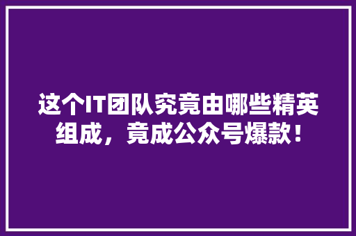 这个IT团队究竟由哪些精英组成，竟成公众号爆款！