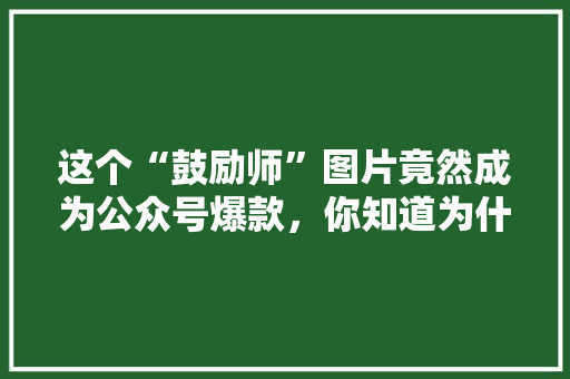 这个“鼓励师”图片竟然成为公众号爆款，你知道为什么吗