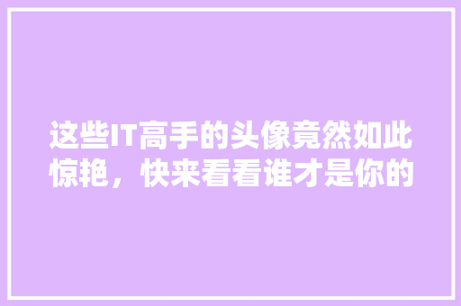 这些IT高手的头像竟然如此惊艳，快来看看谁才是你的菜！
