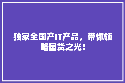 独家全国产IT产品，带你领略国货之光！