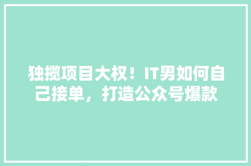 独揽项目大权！IT男如何自己接单，打造公众号爆款