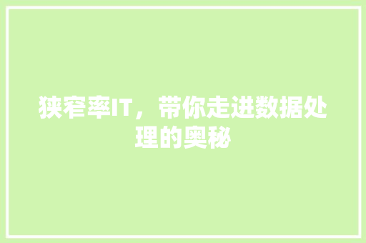 狭窄率IT，带你走进数据处理的奥秘