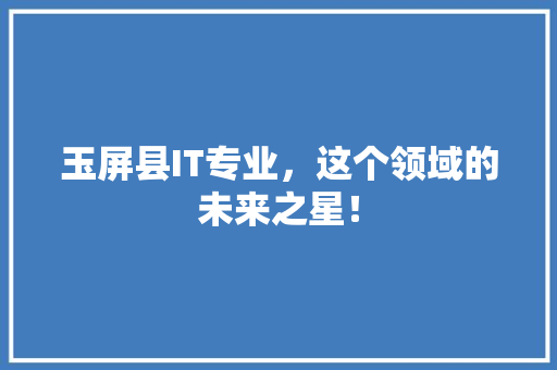 玉屏县IT专业，这个领域的未来之星！