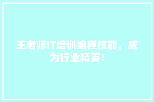 王老师IT培训编程技能，成为行业精英！
