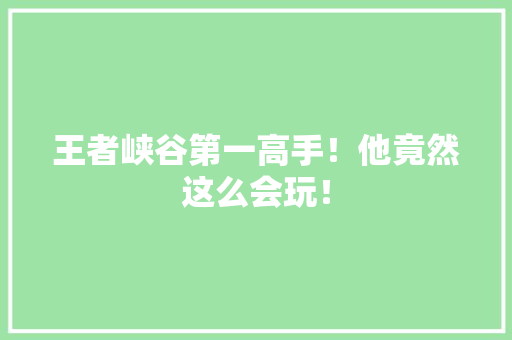 王者峡谷第一高手！他竟然这么会玩！