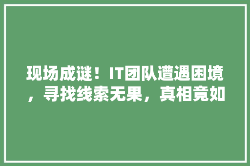 现场成谜！IT团队遭遇困境，寻找线索无果，真相竟如此离奇