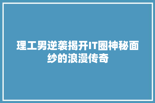 理工男逆袭揭开IT圈神秘面纱的浪漫传奇
