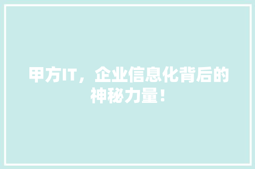 甲方IT，企业信息化背后的神秘力量！