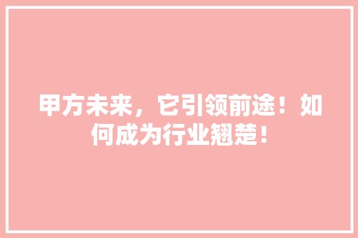 甲方未来，它引领前途！如何成为行业翘楚！