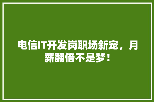 电信IT开发岗职场新宠，月薪翻倍不是梦！ seo技术