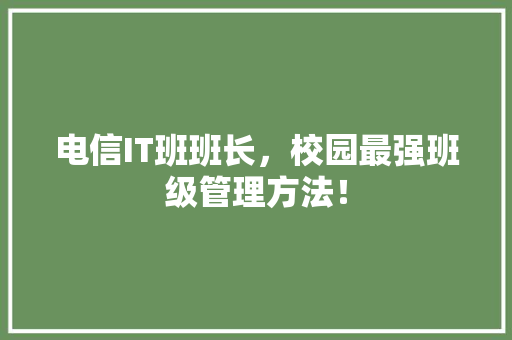 电信IT班班长，校园最强班级管理方法！