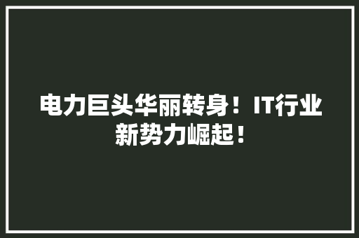 电力巨头华丽转身！IT行业新势力崛起！
