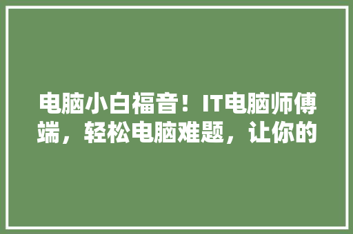电脑小白福音！IT电脑师傅端，轻松电脑难题，让你的电脑从此告别故障烦恼 网站开发