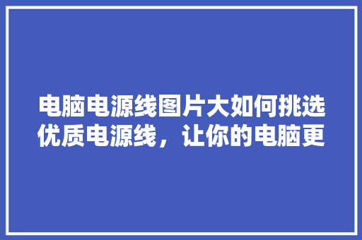 电脑电源线图片大如何挑选优质电源线，让你的电脑更安全高效！ 小程序开发