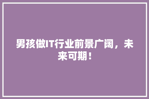 男孩做IT行业前景广阔，未来可期！