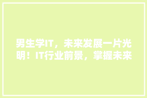 男生学IT，未来发展一片光明！IT行业前景，掌握未来财富密码！