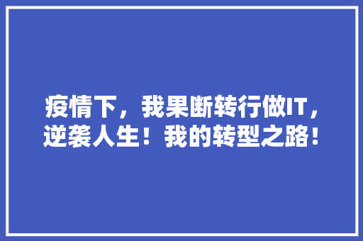 疫情下，我果断转行做IT，逆袭人生！我的转型之路！ 360搜优化
