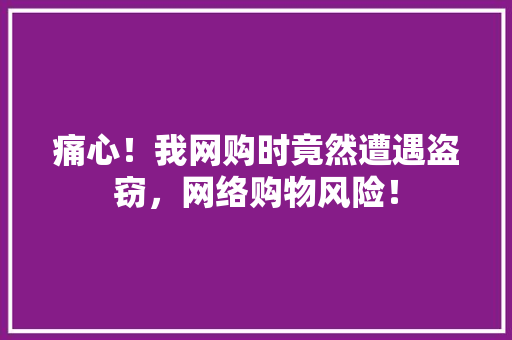 痛心！我网购时竟然遭遇盗窃，网络购物风险！ 网站优化