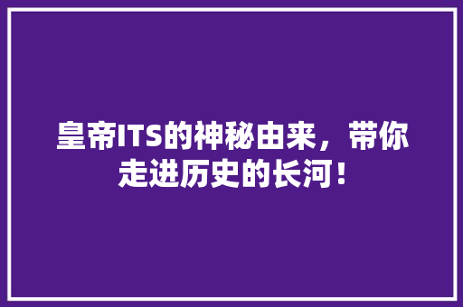皇帝ITS的神秘由来，带你走进历史的长河！