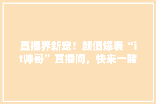 直播界新宠！颜值爆表“it帅哥”直播间，快来一睹为快！ AI技术学习