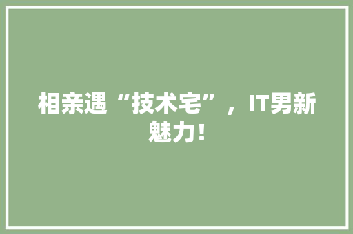 相亲遇“技术宅”，IT男新魅力！ 头条优化