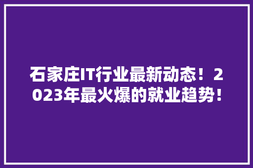 石家庄IT行业最新动态！2023年最火爆的就业趋势！
