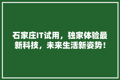 石家庄IT试用，独家体验最新科技，未来生活新姿势！