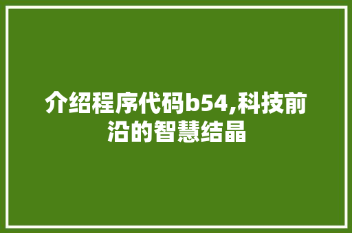 介绍程序代码b54,科技前沿的智慧结晶 介绍程序代码b54,科技前沿的智慧结晶 网站开发