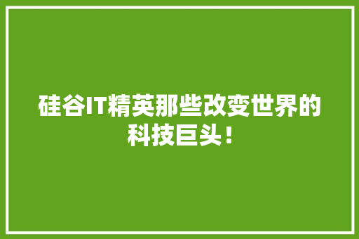 硅谷IT精英那些改变世界的科技巨头！ 小程序开发