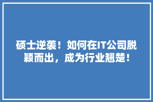 硕士逆袭！如何在IT公司脱颖而出，成为行业翘楚！ 搜狗优化