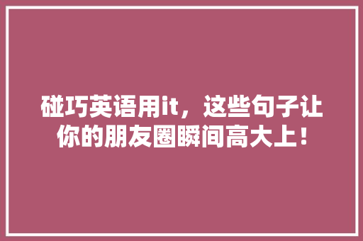 碰巧英语用it，这些句子让你的朋友圈瞬间高大上！ AI技术学习