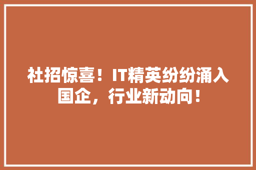 社招惊喜！IT精英纷纷涌入国企，行业新动向！ 360搜优化