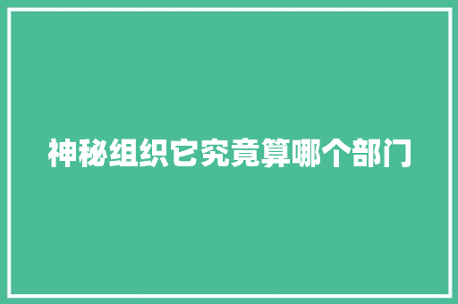 神秘组织它究竟算哪个部门
