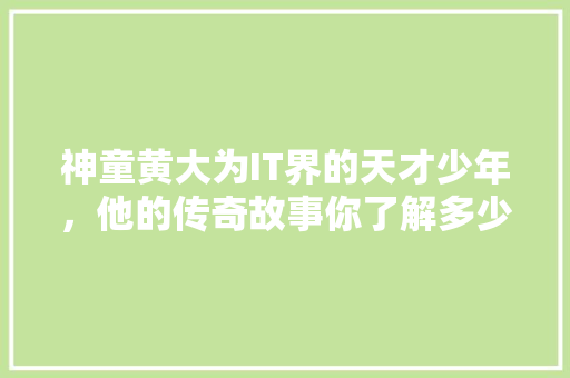 神童黄大为IT界的天才少年，他的传奇故事你了解多少 网站开发