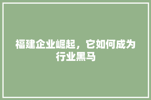 福建企业崛起，它如何成为行业黑马
