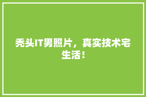 秃头IT男照片，真实技术宅生活！ seo技术