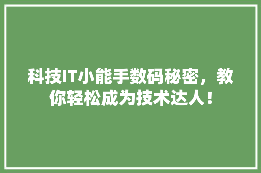 科技IT小能手数码秘密，教你轻松成为技术达人！ 英文谷歌算法