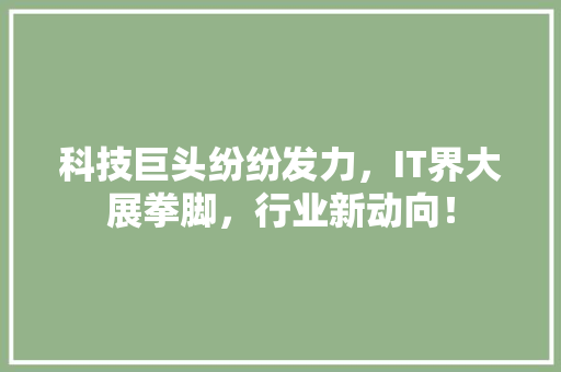 科技巨头纷纷发力，IT界大展拳脚，行业新动向！ 搜狗优化