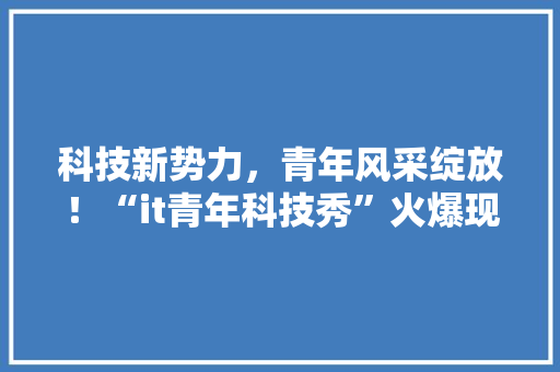 科技新势力，青年风采绽放！“it青年科技秀”火爆现场