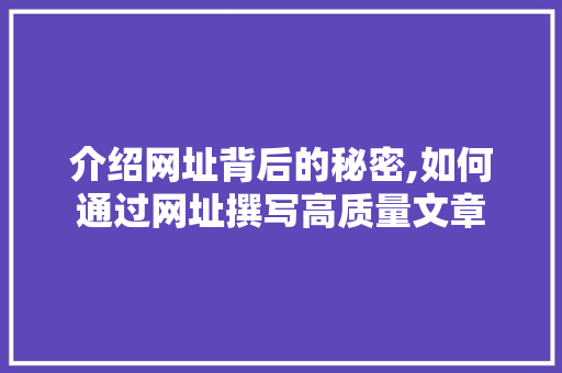 介绍网址背后的秘密,如何通过网址撰写高质量文章