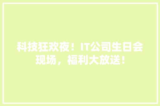 科技狂欢夜！IT公司生日会现场，福利大放送！ 网站优化