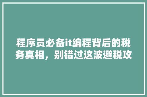 程序员必备it编程背后的税务真相，别错过这波避税攻略！